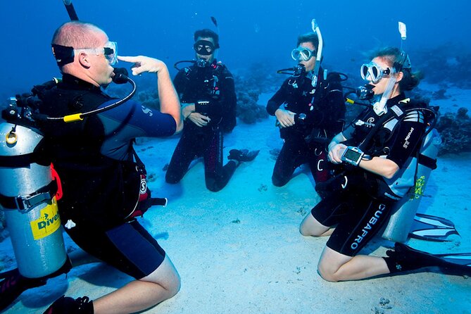Scuba Diving in Fujairah with Private Transfers - Snorkeling adds a second way to enjoy the sea