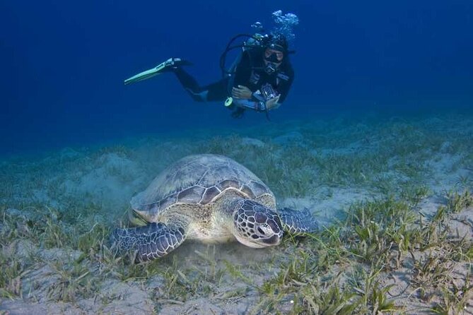 Scuba Diving in Fujairah with Private Transfers - Boat support from Captain Ahmed and the crew