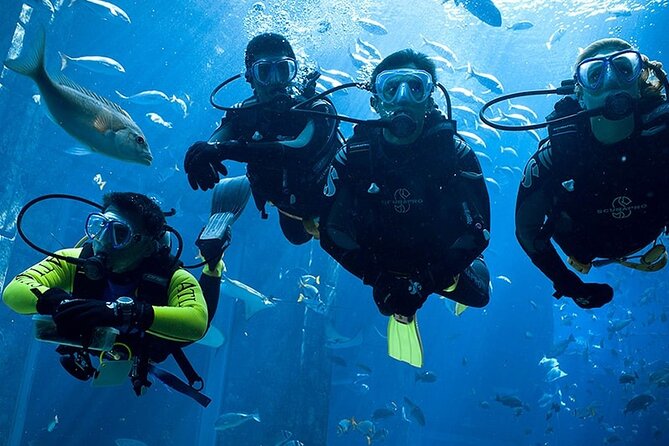 Scuba Diving in Fujairah with Private Transfers - Weather is part of the planning