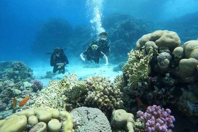 Scuba Diving in Hurghada _ 2 Stops Dive With Equipments & Lunch - Key points to know before booking
