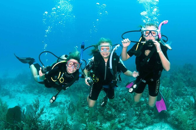 Scuba Diving in Hurghada _ 2 Stops Dive With Equipments & Lunch - What you will see below the surface