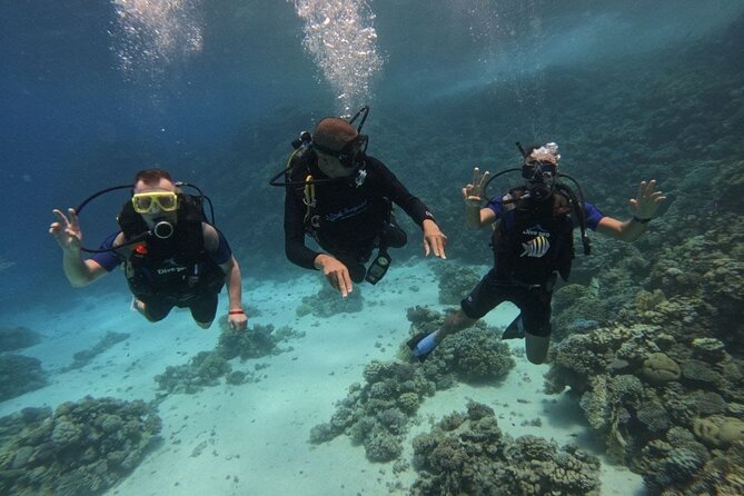 Scuba Diving in Hurghada _ 2 Stops Dive With Equipments & Lunch - Lunch, swimming, and the rhythm of the day