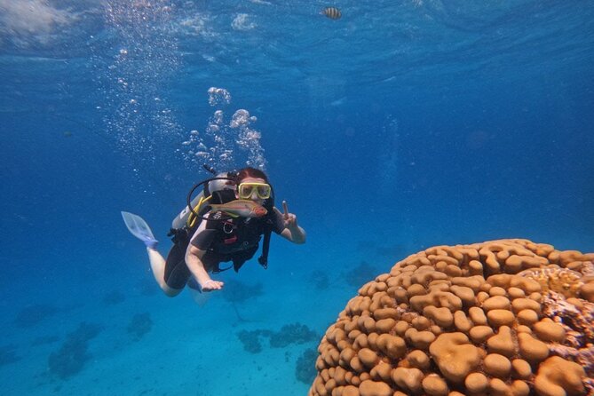 Scuba Diving in Hurghada _ 2 Stops Dive With Equipments & Lunch - Why the instructors matter for first-timers