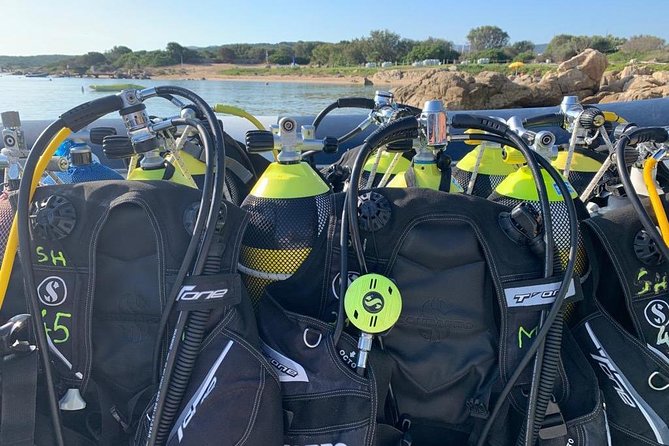 Scuba Diving in La Maddalena & Lavezzi Park for certified divers. - Is $120.02 a fair price?