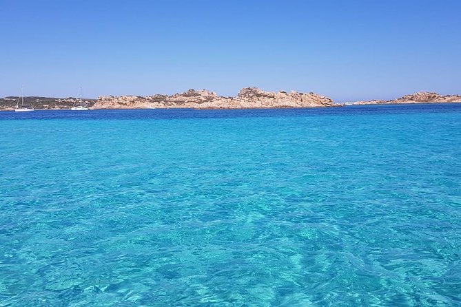 Scuba Diving in La Maddalena & Lavezzi Park for certified divers. - Who should book this trip?