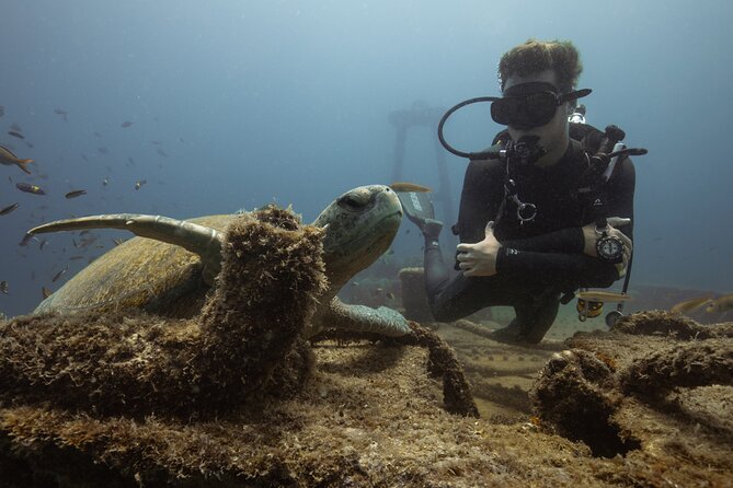 Scuba Diving in La Paz Private Trip - A second underwater visit before the beach