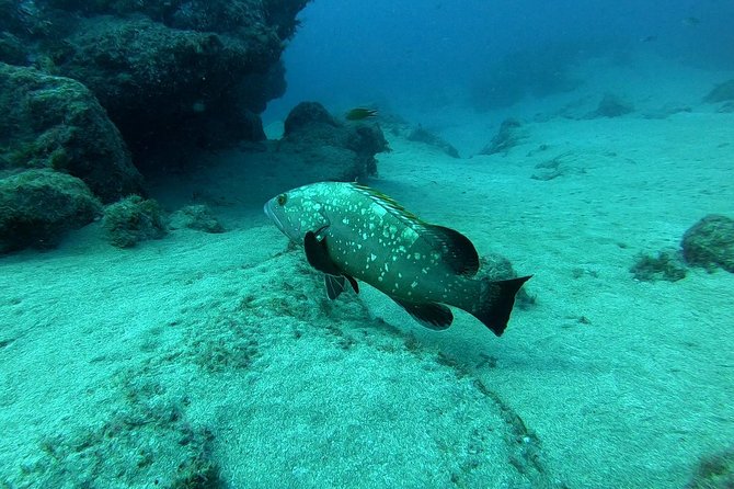 Scuba Diving in Lanzarote (for certified divers only) - The briefing and equipment check