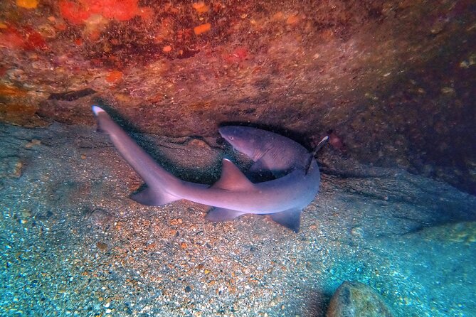 Scuba Diving in Maui with No Experience Needed - Equipment, Comfort, and the Physical Side