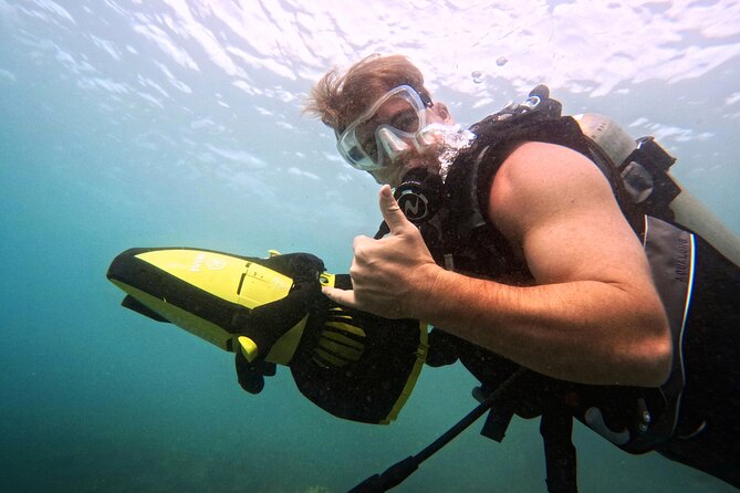 Scuba Diving in Maui with No Experience Needed - Who Will Enjoy This Most