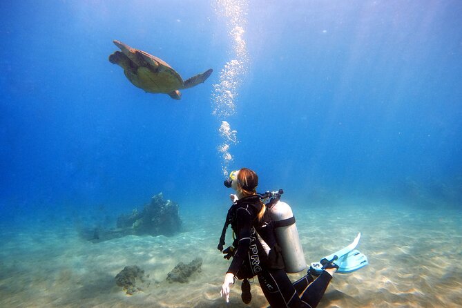 Scuba Diving in Maui with No Experience Needed - Walking From the Beach Into West Maui’s Reef