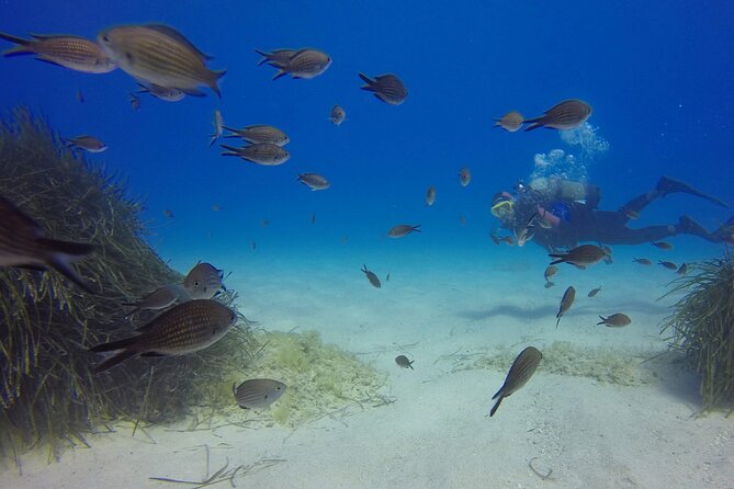 Scuba Diving in MIG-21 wreck - What your one-hour session looks like