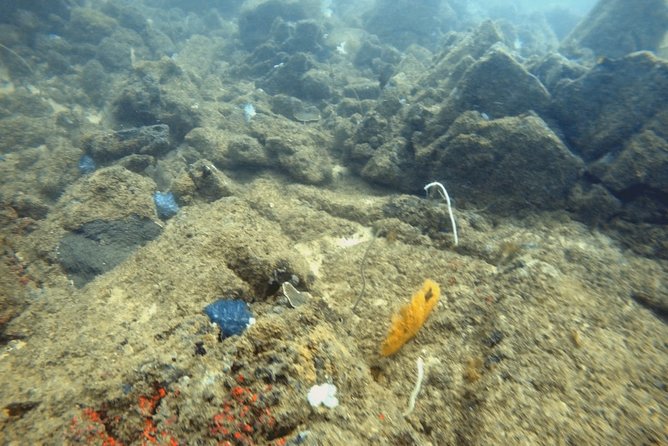 Scuba Diving in Mirissa - What your three hours are likely to involve