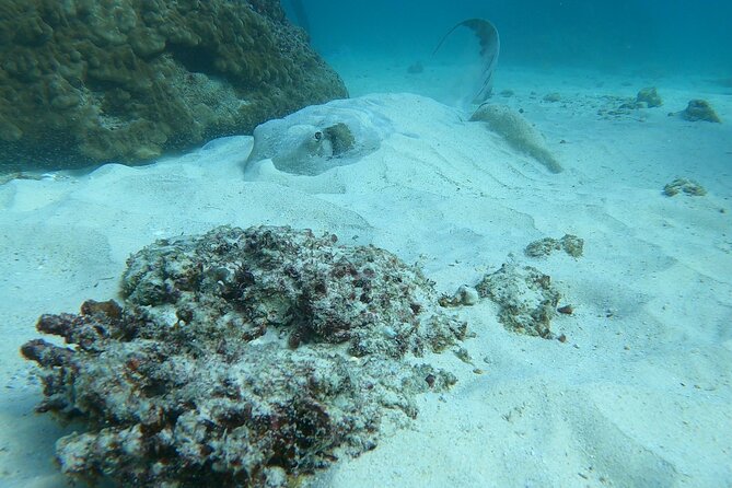 Scuba Diving in muscat - Starting at Al Seeb Port at 8:00 am