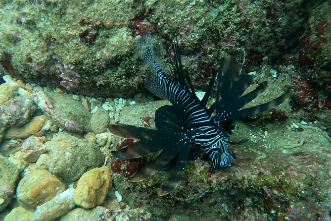 Scuba Diving in muscat - The boat ride from Muscat’s coast