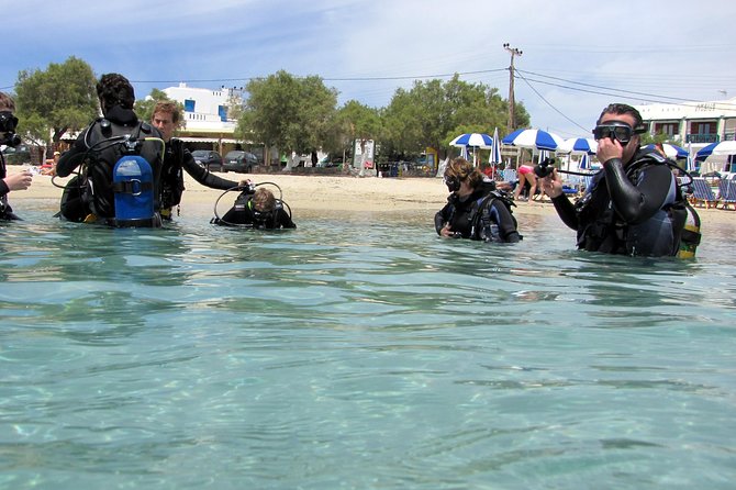 Scuba Diving in Naxos by Bluefindivers - Dive in Greece - Amazing Diving Spots - From the shop to the shallow water