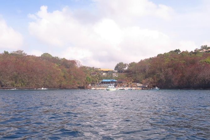 Scuba diving in PADANG BAY BALI - The 7:00 am start and road transfer