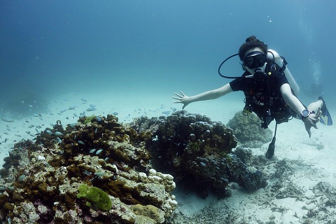 Scuba Diving in Phuket – Full-Day Trip (3 Dives, All Included) - A boat day built around comfort