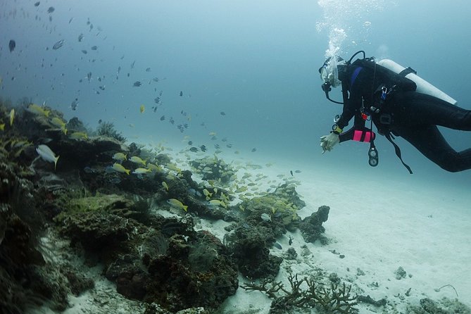Scuba Diving in Phuket – Full-Day Trip (3 Dives, All Included) - Equipment and instruction for different experience levels