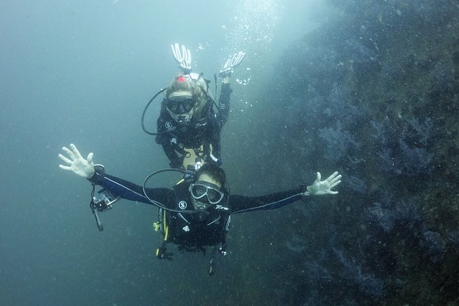 Scuba Diving in Phuket – Full-Day Trip (3 Dives, All Included) - Why the guides matter so much
