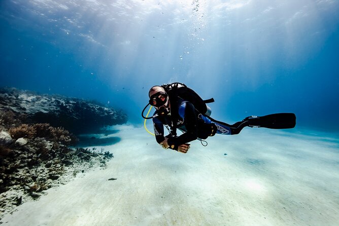 Scuba Diving in Playa del Carmen for Small Groups - A small-group outing with two distinct underwater stops