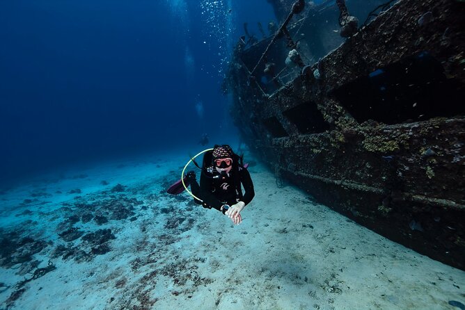 Scuba Diving in Playa del Carmen for Small Groups - Morning or midday: choosing the better start time