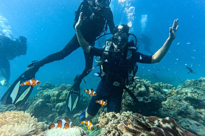 Scuba Diving in Tribe Gate - Key points to know before booking