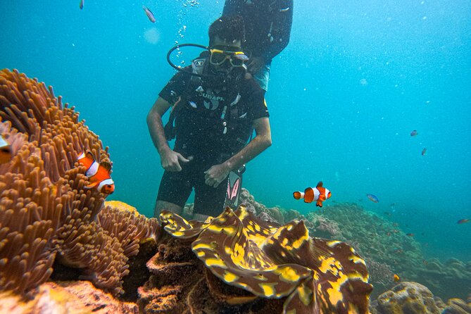 Scuba Diving in Tribe Gate - The shallow-water lesson at Govind Nagar Beach