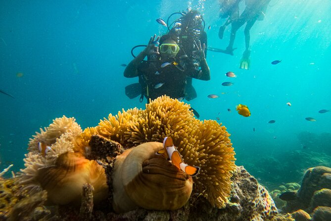 Scuba Diving in Tribe Gate - GoPro photos and video sent the same day