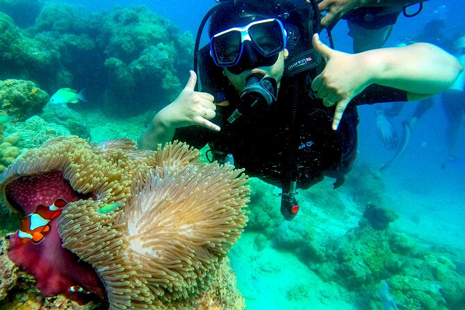 Scuba Diving in Tribe Gate - The 10-minute boat ride to Tribe Gate
