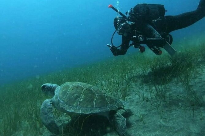 Scuba Diving in Turtle and Ray Area - Equipment fitting and the small-group advantage