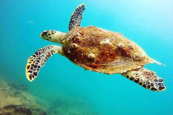 Scuba Diving in Unawatuna - What your two hours in Unawatuna look like