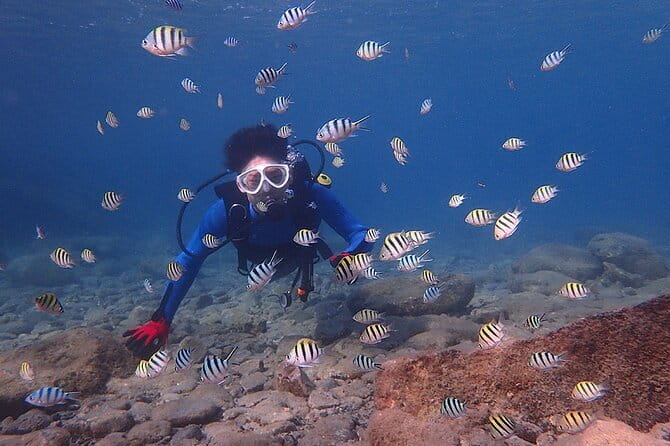 Scuba diving in Yakushima! (Guided Fun Diving for Licensed Guests) - The boat entry and underwater routine