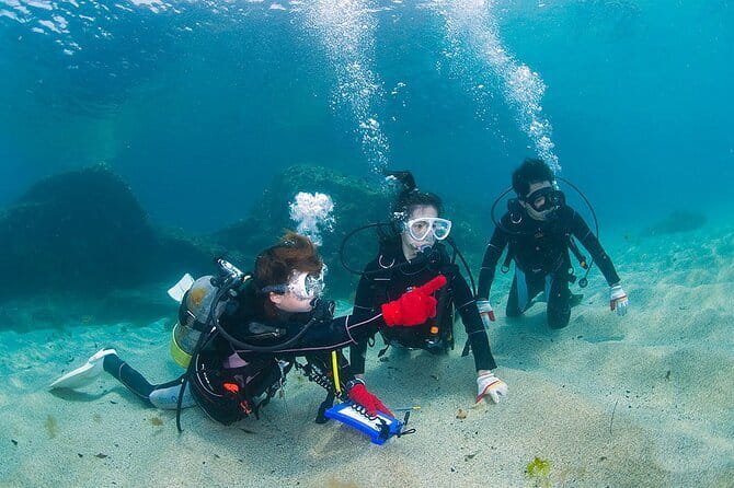 Scuba diving in Yakushima! (Guided Fun Diving for Licensed Guests) - Who will enjoy this outing most