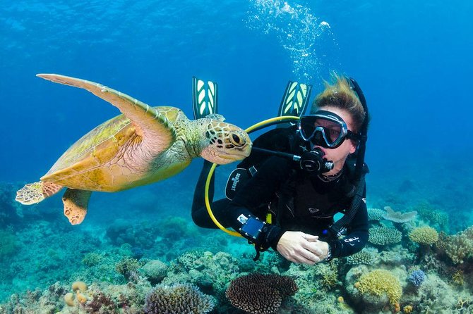 Scuba Diving on Catalina Island | 2 tanks, 2 spots - Two Catalina Island sites, two different moods