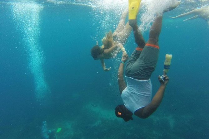 Scuba Diving on Catalina Island | 2 tanks, 2 spots - The early start and eight-hour schedule