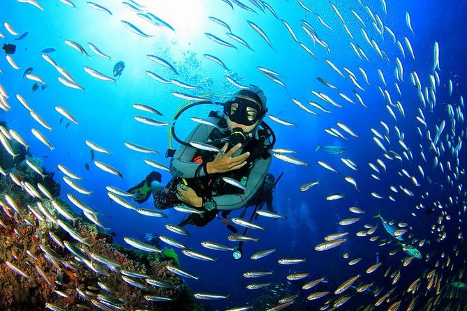 Scuba Diving on Catalina Island | 2 tanks, 2 spots - An instructor-led format for certified beginners