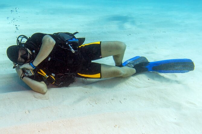 Scuba Diving Open Water PADI Course - Sharm El Sheikh - What the $420 price includes