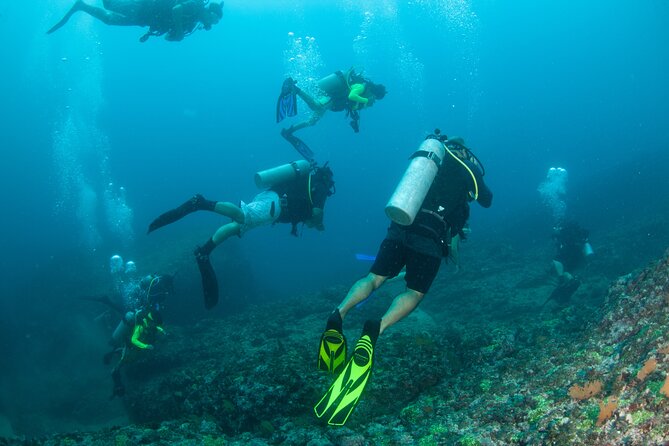 Scuba Diving Puerto Vallarta Undersea Arcos or Marietas - Los Arcos offers an easier first underwater session