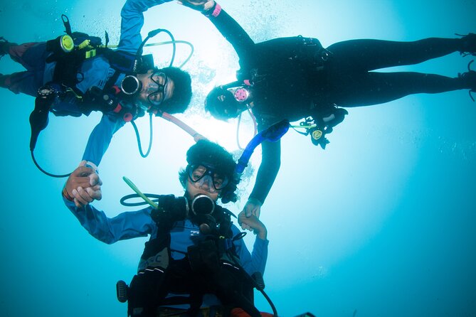 Scuba Diving Puerto Vallarta Undersea Arcos or Marietas - What the $125 price really includes