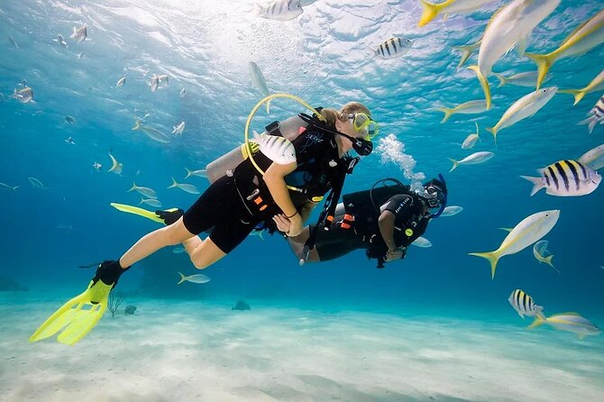 Scuba Diving Sea Trip with Lunch and Transfer from Hurghada - Red Sea Scuba for First-Timers