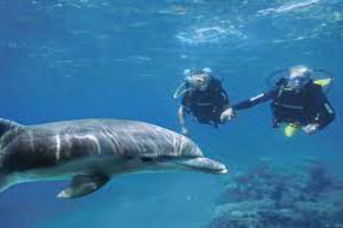 Scuba Diving Sea Trip with Lunch and Transfer from Hurghada - Safety Briefing and Equipment Setup