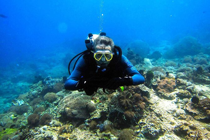 Scuba Diving Sea Trip with Lunch and Transfer from Hurghada - Snorkeling, Swimming, and the Boat Deck