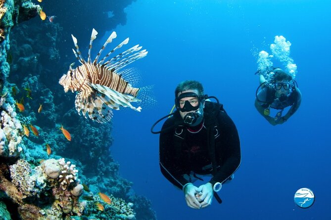 Scuba Diving Sea Trip with Lunch and Transfer from Hurghada - Lunch on the Red Sea