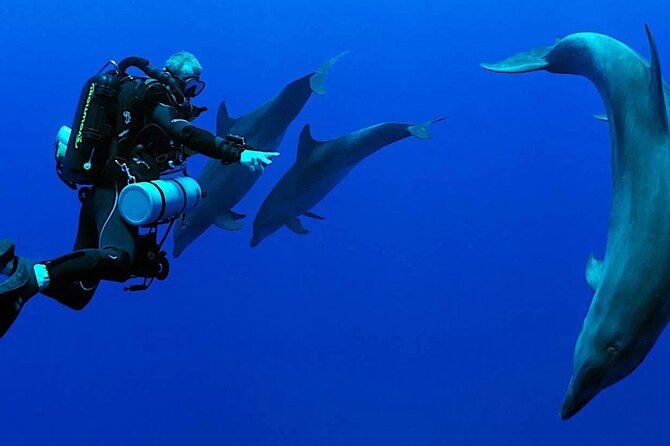 Scuba Diving Sea Trip with Lunch and Transfer from Hurghada - Is the Low Price Really the Full Cost?