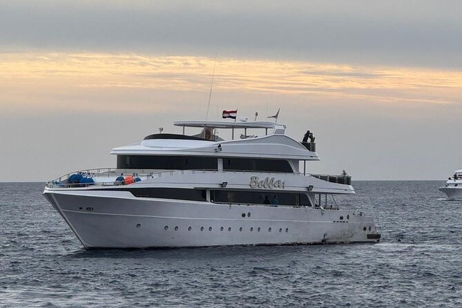 Scuba Diving Sea Trip with Lunch and Transfer from Hurghada - Coral, Fish, and Time Underwater