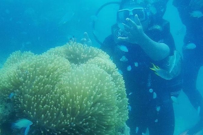 Scuba Diving (shore Dive) at Havelock Islands - Starting at Shelloo Dive No 2 in Govind Nagar