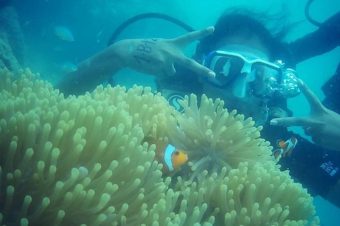 Scuba Diving (shore Dive) at Havelock Islands - The Briefing Before You Enter the Water