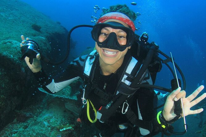 Scuba Diving to Dimaniyat Islands Muscat Oman - Underwater sights: coral, turtles, rays, and sharks