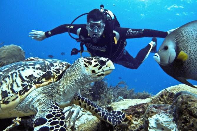 Scuba Diving Tour - The first underwater session: calm instruction for beginners