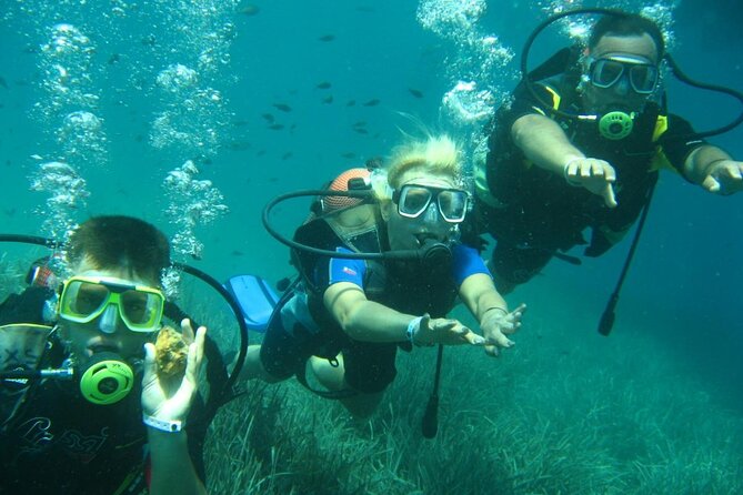 Scuba Diving Tour - Choosing equipment, and what experienced participants should know